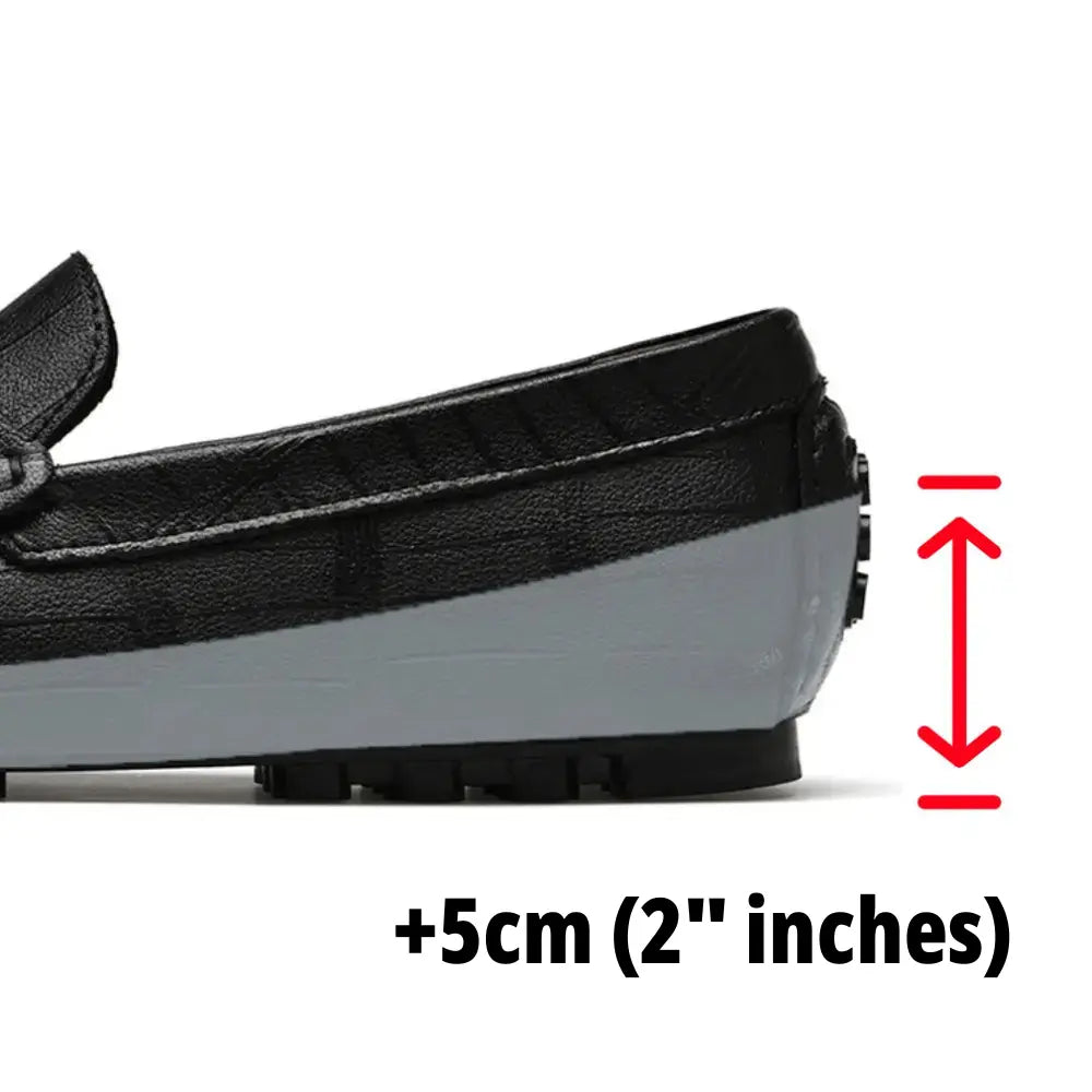 Octavien - Élévation de 2''