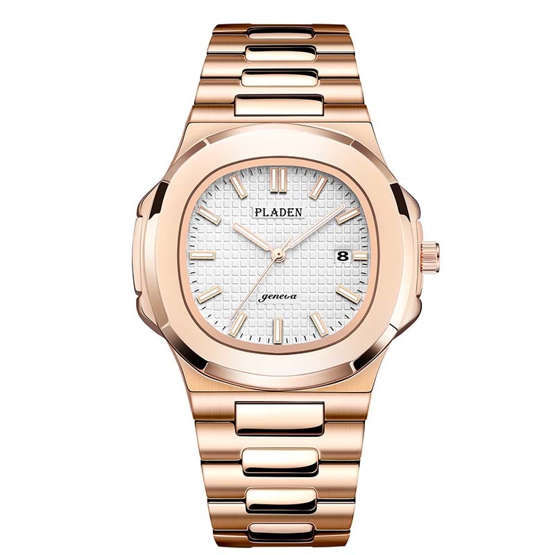 Pladen™ Montre en acier inoxydable