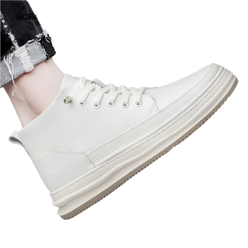 Évrard - +8CM +10CM